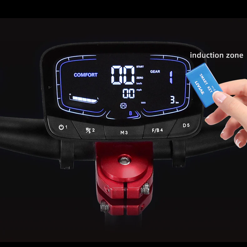 Compteur d'affichage d'origine TF-100/LY 810 pour scooters électriques Boyueda