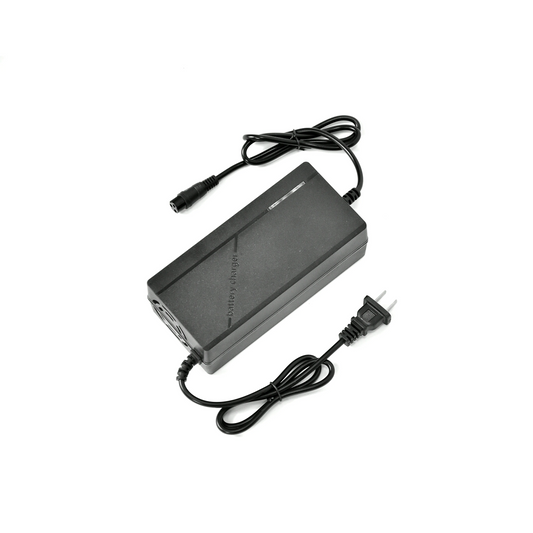 Chargeur de batterie d'origine pour scooters électriques BOYUEDA